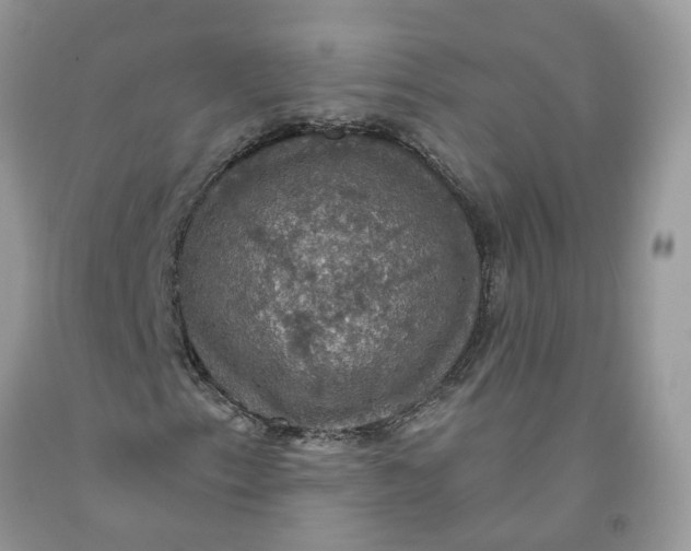 X0000091461153200709061750