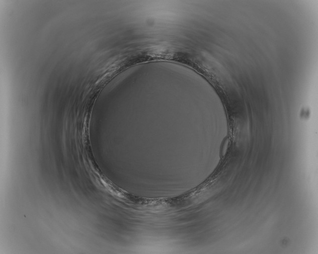 X0000091461154200709061750