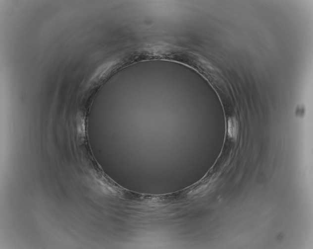 X0000091461155200709061750