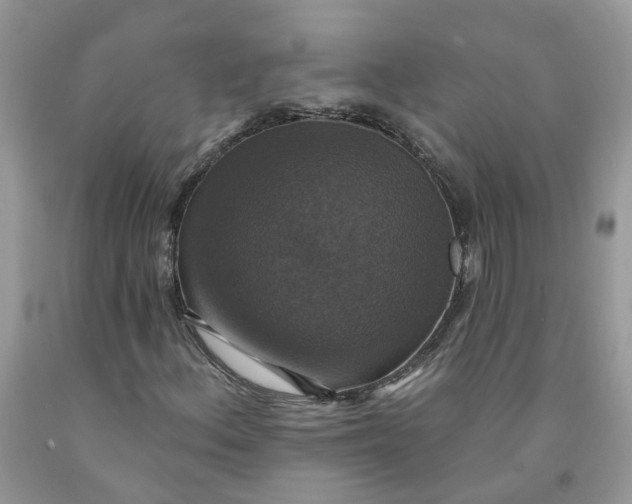 X0000091461156200709061750