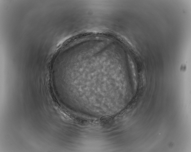 X0000091461158200709061750