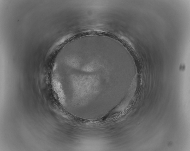 X0000091461159200709061750