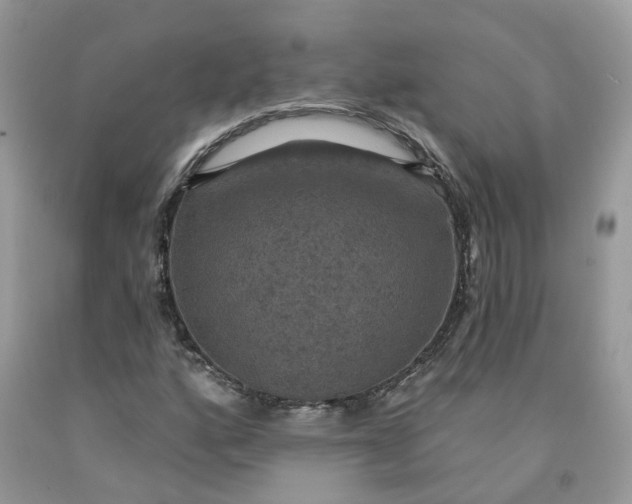 X0000091461160200709061750