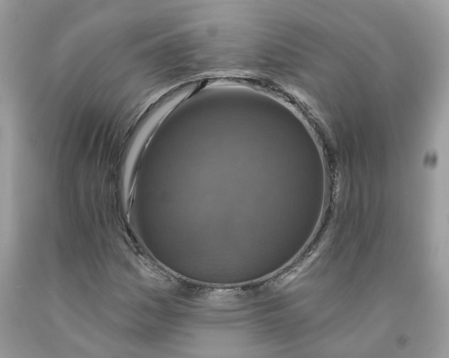 X0000091461161200709061750