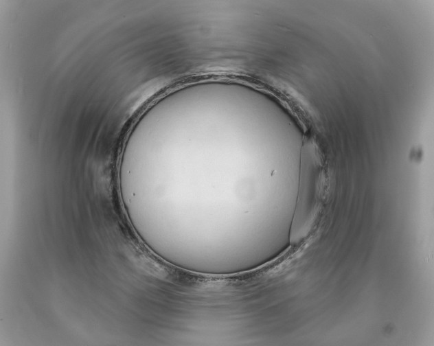 X0000091461162200709061750