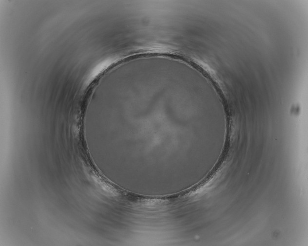 X0000091461163200709061750