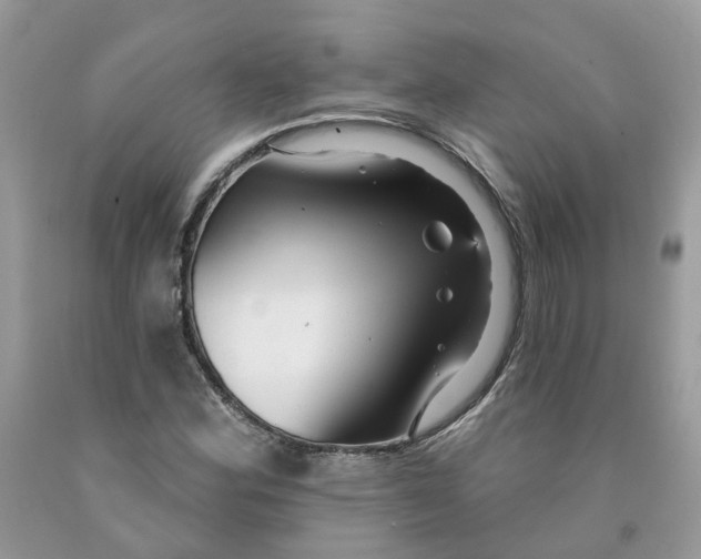 X0000091461164200709061750