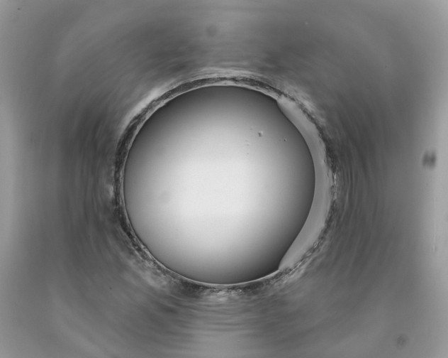 X0000091461165200709061750