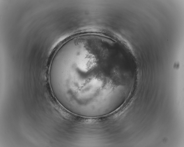 X0000091461166200709061750