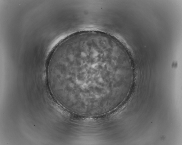 X0000091461167200709061750