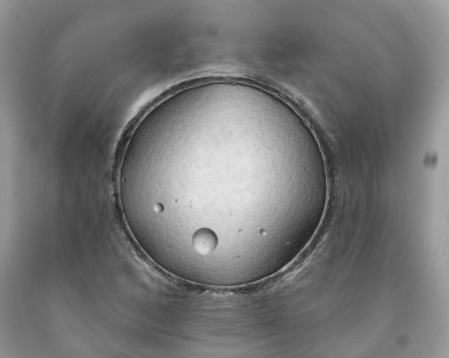 X0000091461168200709061750