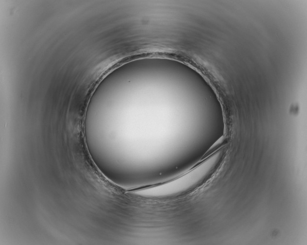 X0000091461169200709061750