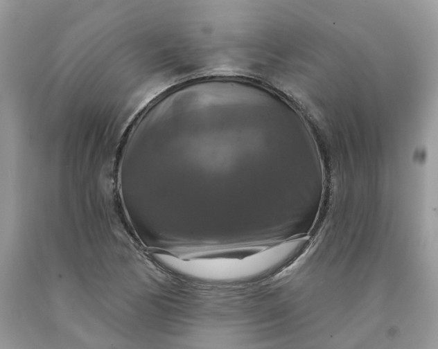 X0000091461170200709061750