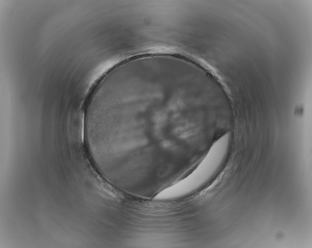 X0000091461171200709061750