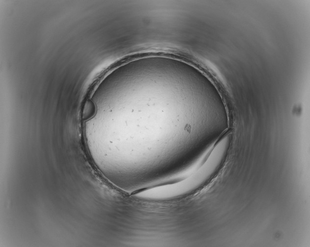 X0000091461172200709061750