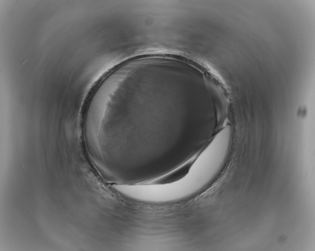 X0000091461173200709061750