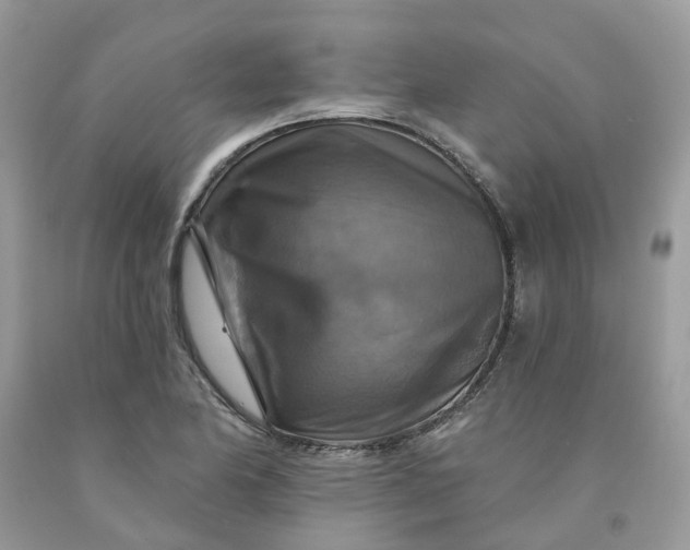 X0000091461174200709061750