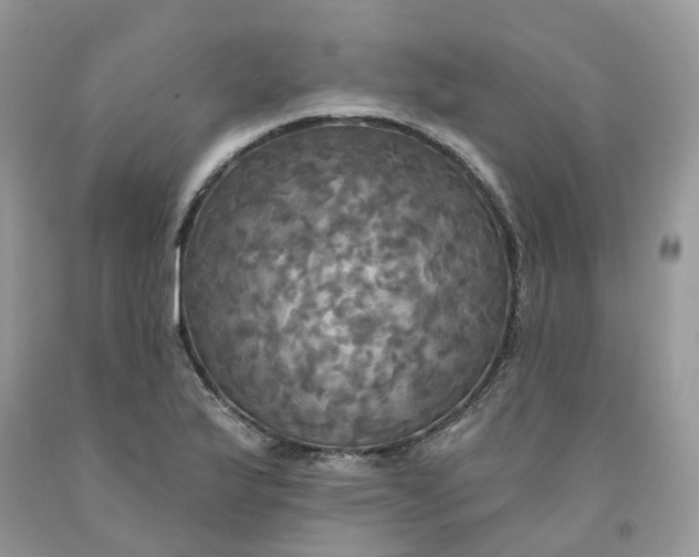 X0000091461175200709061750