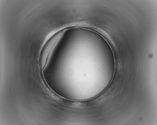 X0000091461176200709061750