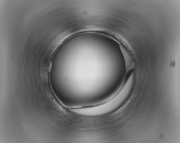 X0000091461177200709061750