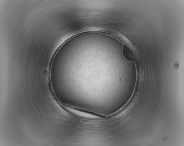 X0000091461178200709061750