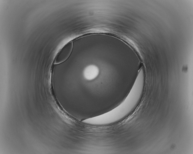 X0000091461179200709061750