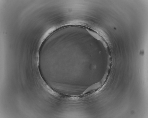 X0000091461180200709061750