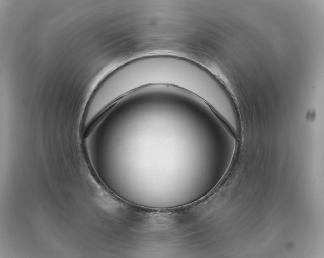 X0000091461181200709061750