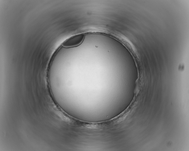 X0000091461182200709061750