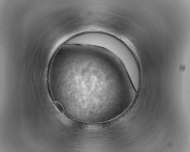 X0000091461183200709061750