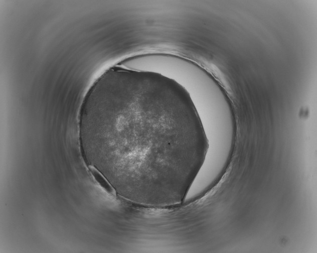 X0000091461184200709061750