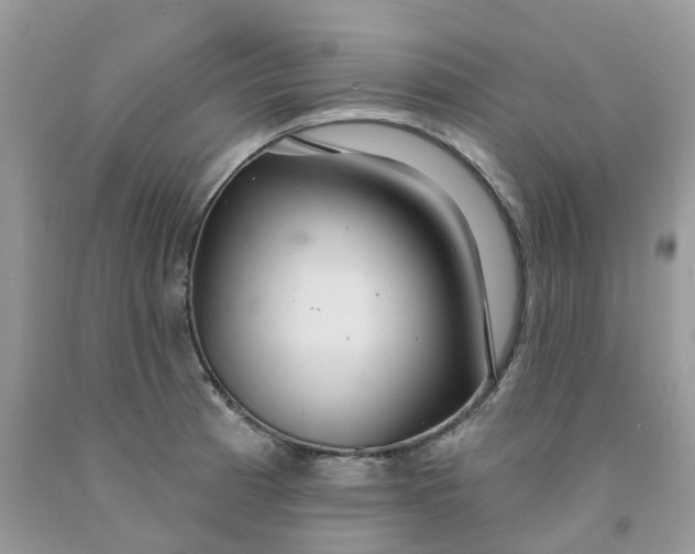 X0000091461185200709061750