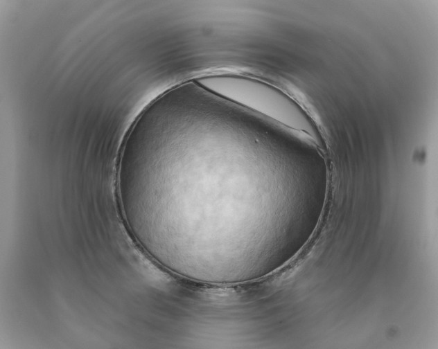 X0000091461186200709061750