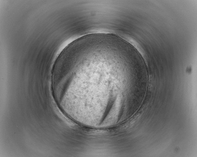 X0000091461187200709061750