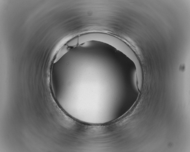 X0000091461188200709061750