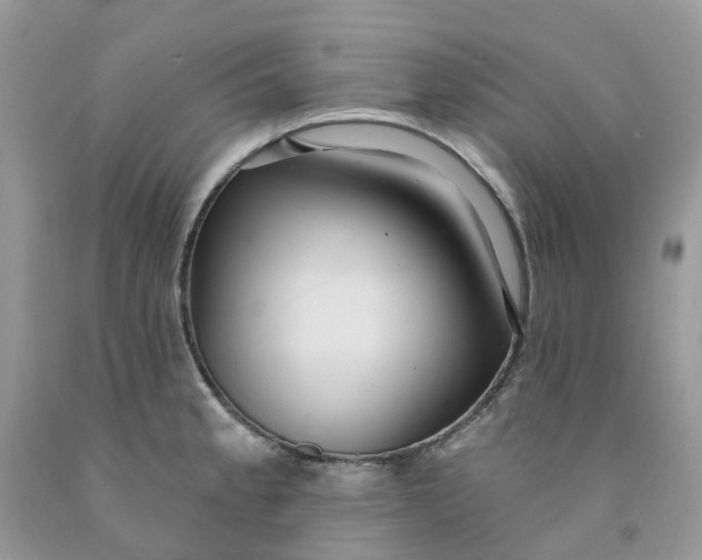 X0000091461189200709061750