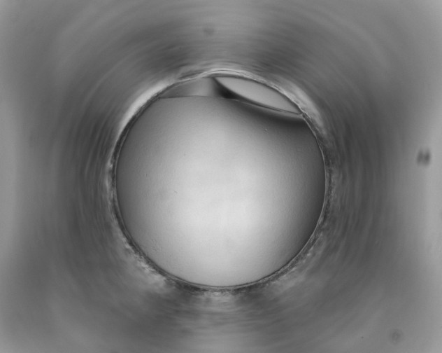 X0000091461190200709061750