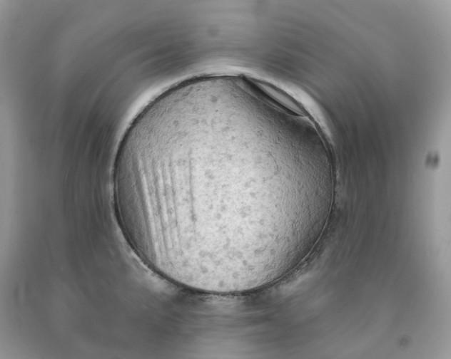 X0000091461191200709061750