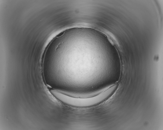 X0000091461192200709061750