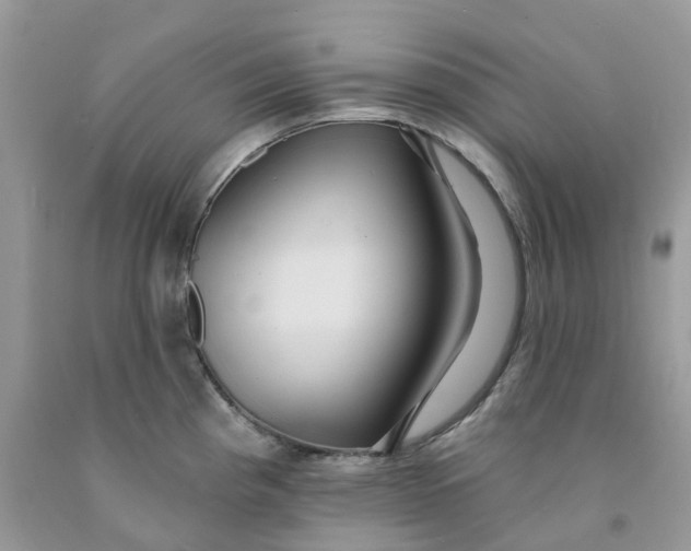 X0000091461193200709061750