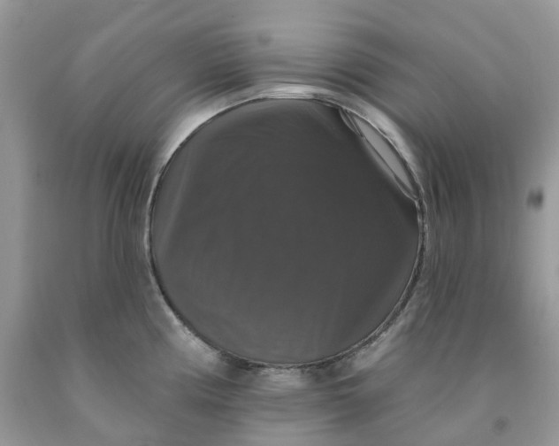 X0000091461194200709061750