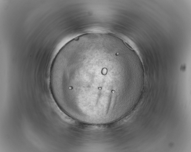 X0000091461195200709061750