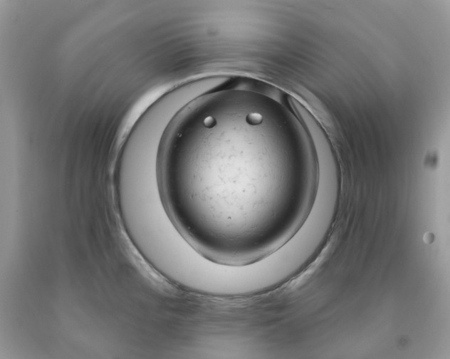 X0000091461196200709061750