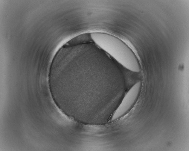 X0000091461197200709061750