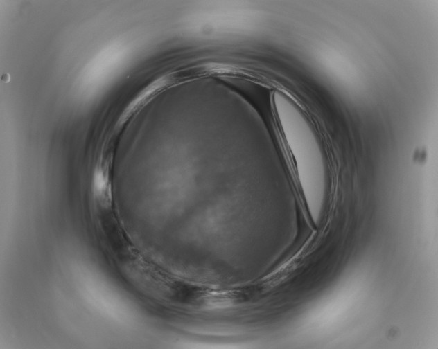 X0000091461198200709061750