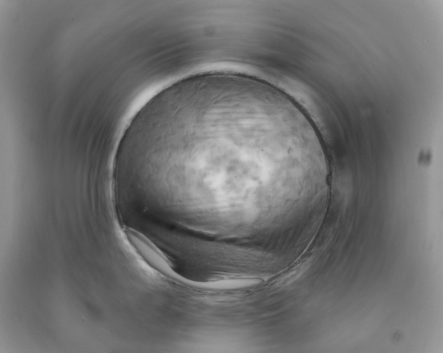 X0000091461199200709061750