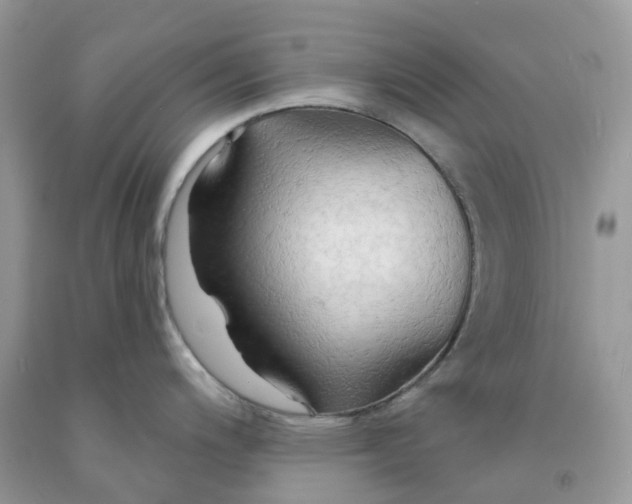 X0000091461200200709061750