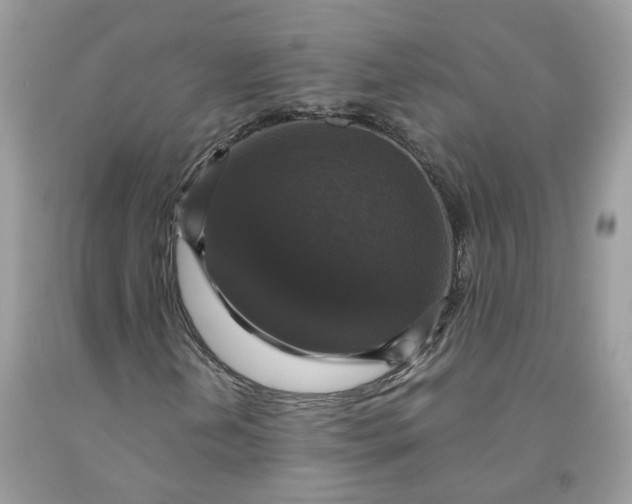 X0000091461202200709061749