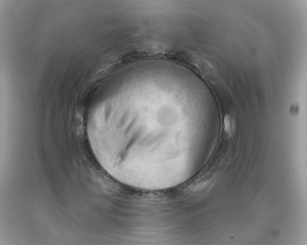 X0000091461203200709061749