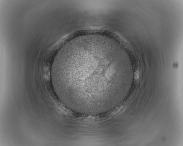 X0000091461204200709061749